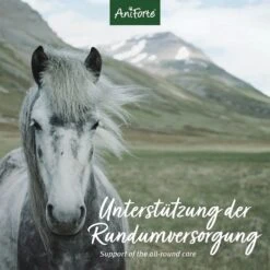 AniForte 4in1 Complete Horse -Haustier Alles Verkaufsgeschäft 0061206 aniforte 4in1 complete horse