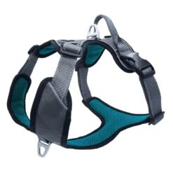 Petlando Outdoor Geschirr Petrol