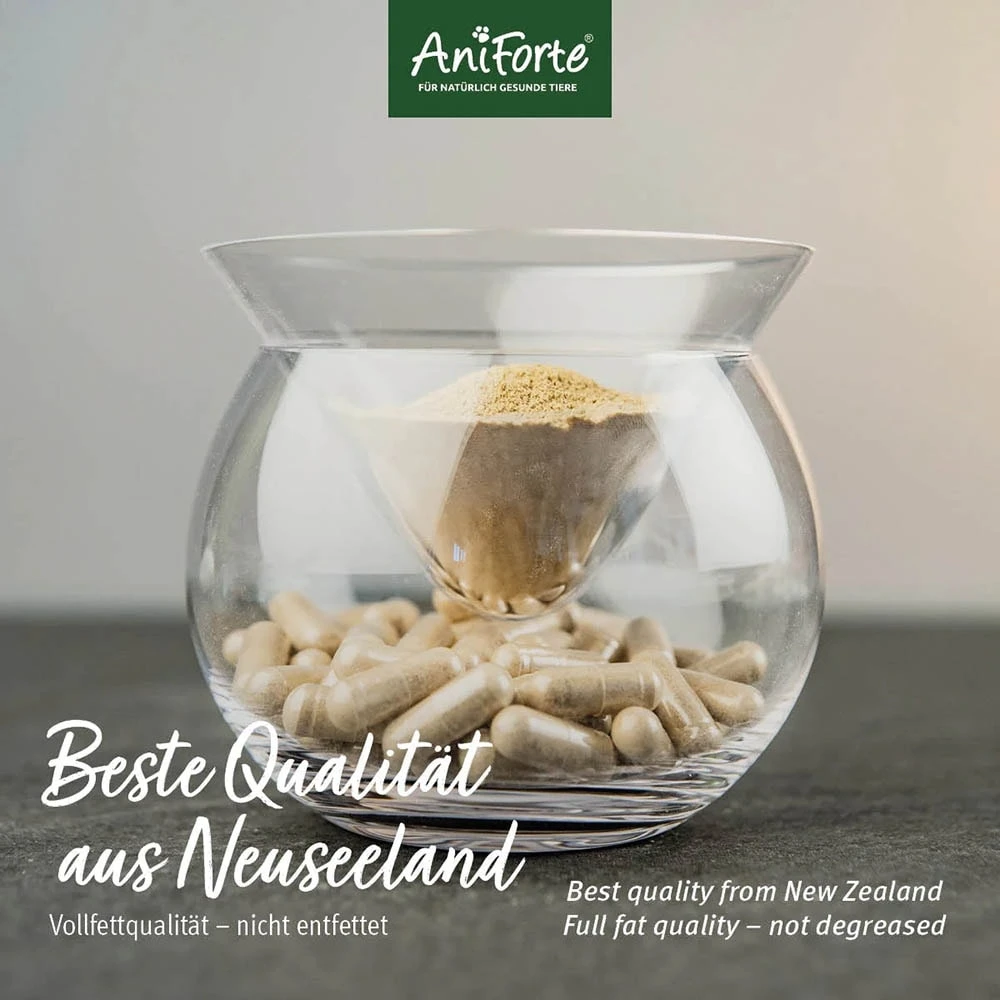 AniForte Grünlippmuschel Kapsel 6 AniForte Grünlippmuschel Kapsel – Bild 4