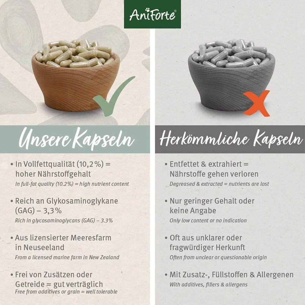 AniForte Grünlippmuschel Kapsel 7 AniForte Grünlippmuschel Kapsel – Bild 5