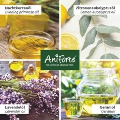 AniForte Grasmilben-EX Spray -Haustier Alles Verkaufsgeschäft 0061554 aniforte grasmilben ex spray