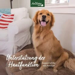 AniForte Plus Fell & Haut 14 AniForte Plus Fell & Haut -Haustier Alles Verkaufsgeschäft 0061575 aniforte plus fell haut