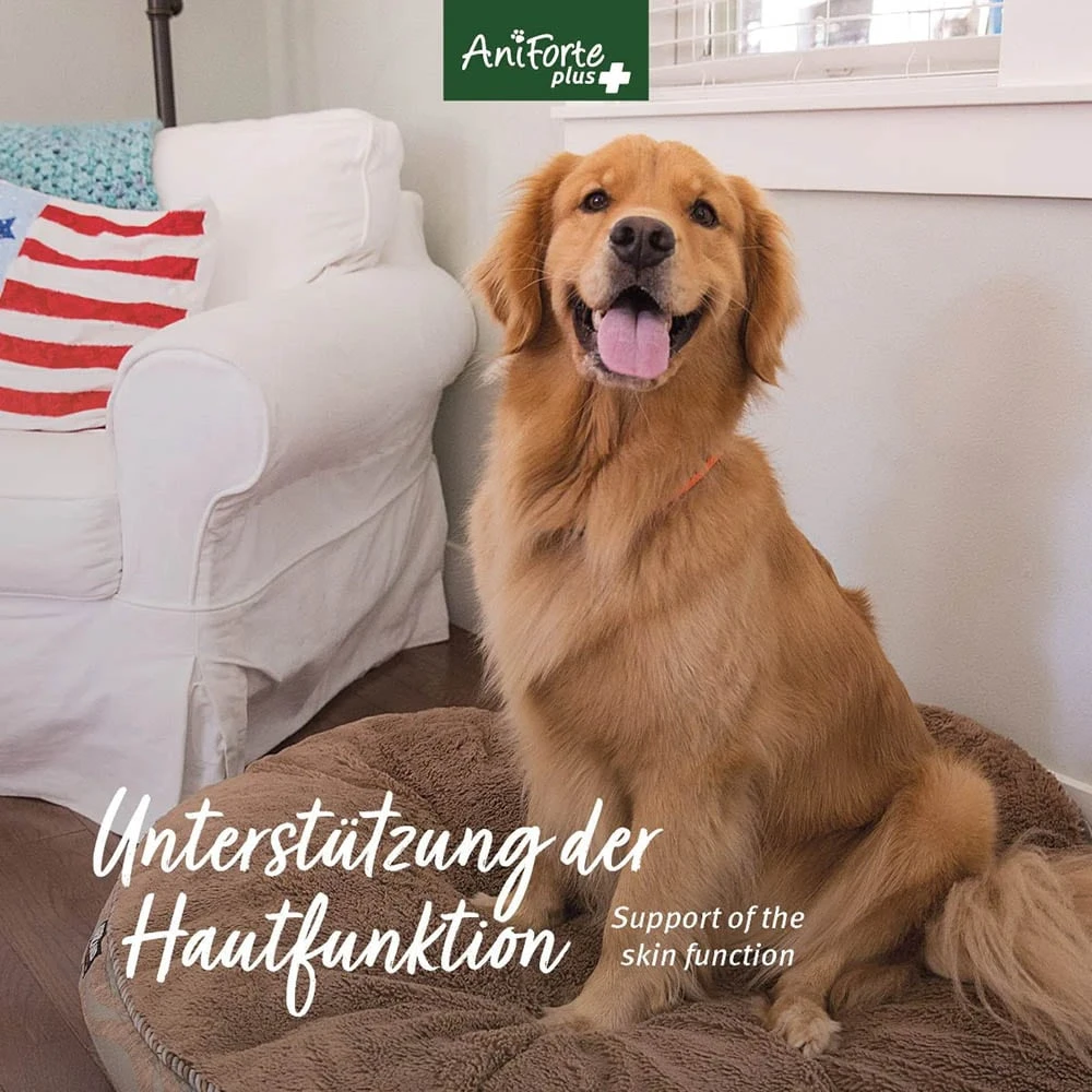 AniForte Plus Fell & Haut 8 AniForte Plus Fell & Haut – Bild 6