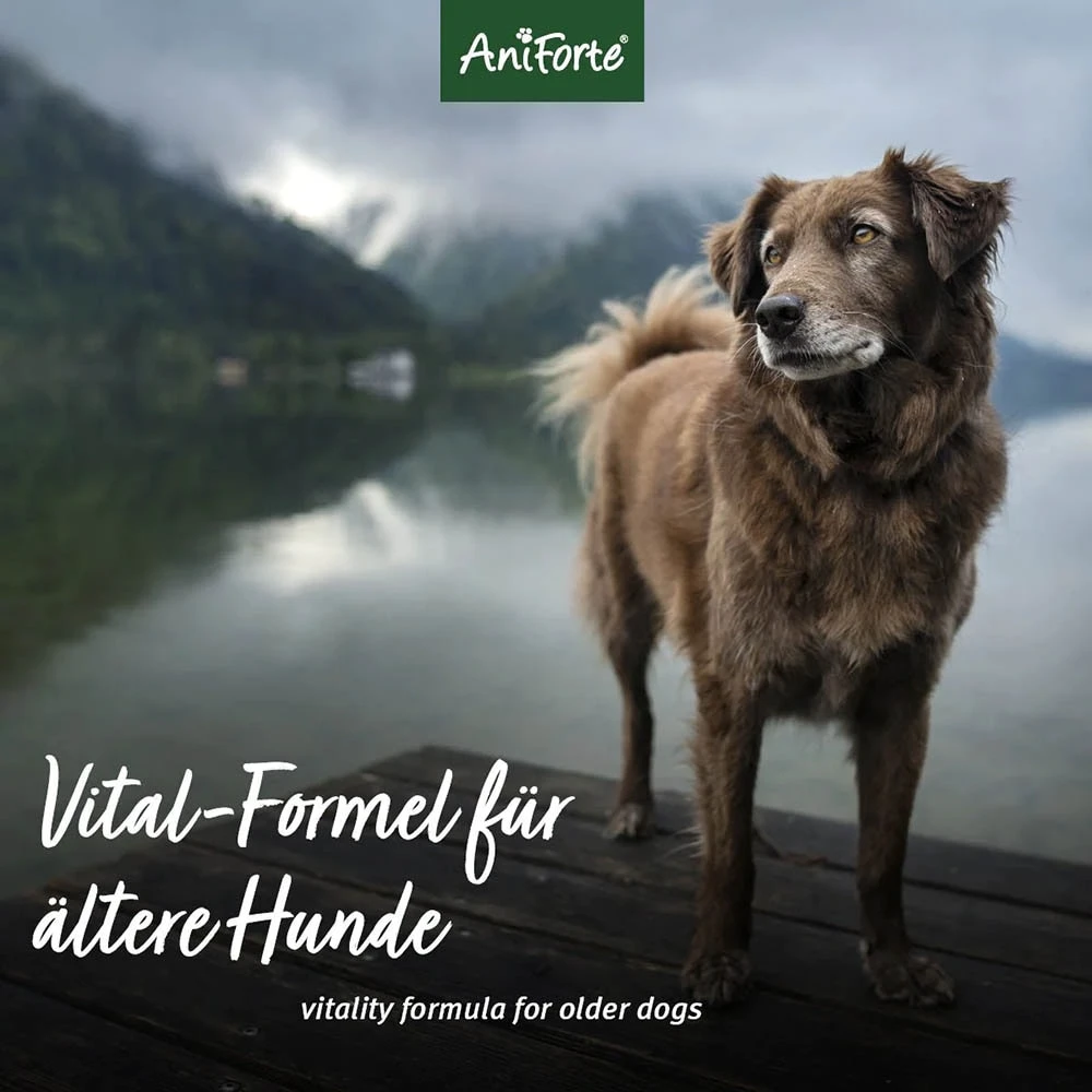 AniForte Senior Active 7 AniForte Senior Active – Bild 5