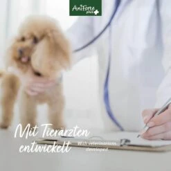 AniForte Plus Magen & Darm 14 AniForte Plus Magen & Darm -Haustier Alles Verkaufsgeschäft 0061580 aniforte plus magen darm