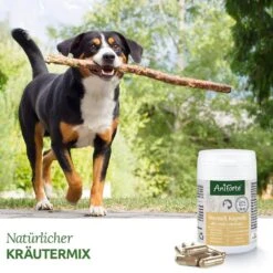 AniForte WermiX Kapseln Für Hunde 8 AniForte WermiX Kapseln Für Hunde -Haustier Alles Verkaufsgeschäft 0061591 aniforte wermix kapseln fur hunde