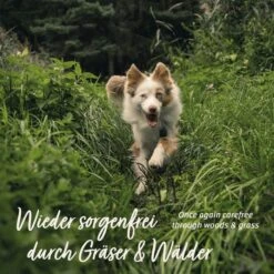 AniForte Z Season Snack -Haustier Alles Verkaufsgeschäft 0061656 aniforte z season snack