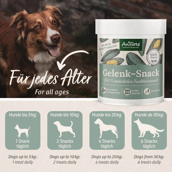 AniForte Gelenk-Snack 8 AniForte Gelenk-Snack – Bild 6
