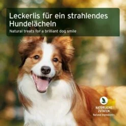 AniForte Denta-Snack -Haustier Alles Verkaufsgeschäft 0061668 aniforte denta snack