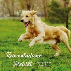 AniForte 4in1-Snack -Haustier Alles Verkaufsgeschäft 0061679 aniforte 4in1 snack