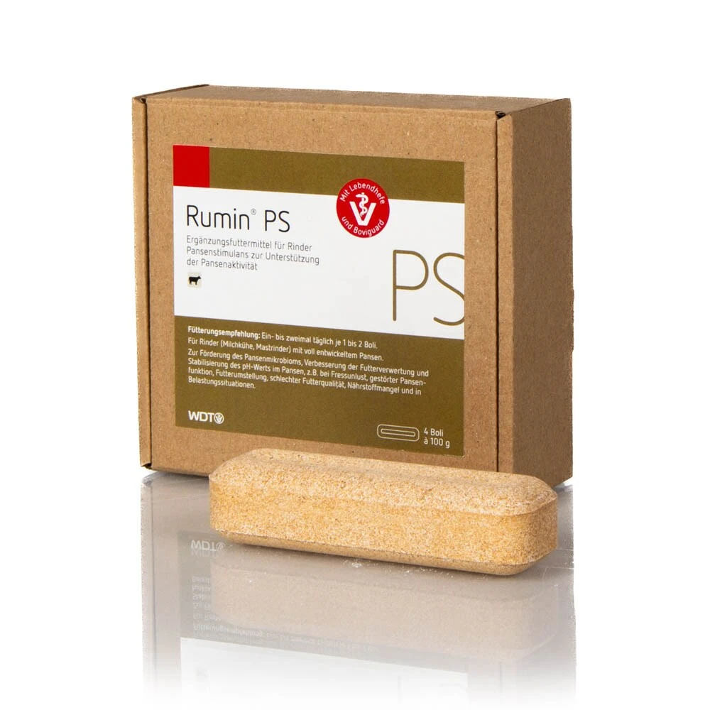 WDT Rumin PS 3 WDT Rumin PS