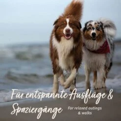 AniForte Relax-Snack 16 AniForte Relax-Snack -Haustier Alles Verkaufsgeschäft 0061989 aniforte relax snack