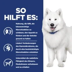Hills Prescription Diet K/d Plus Mobility Hundefutter -Haustier Alles Verkaufsgeschäft 0062392 hills prescription diet kd plus mobility hundefutter