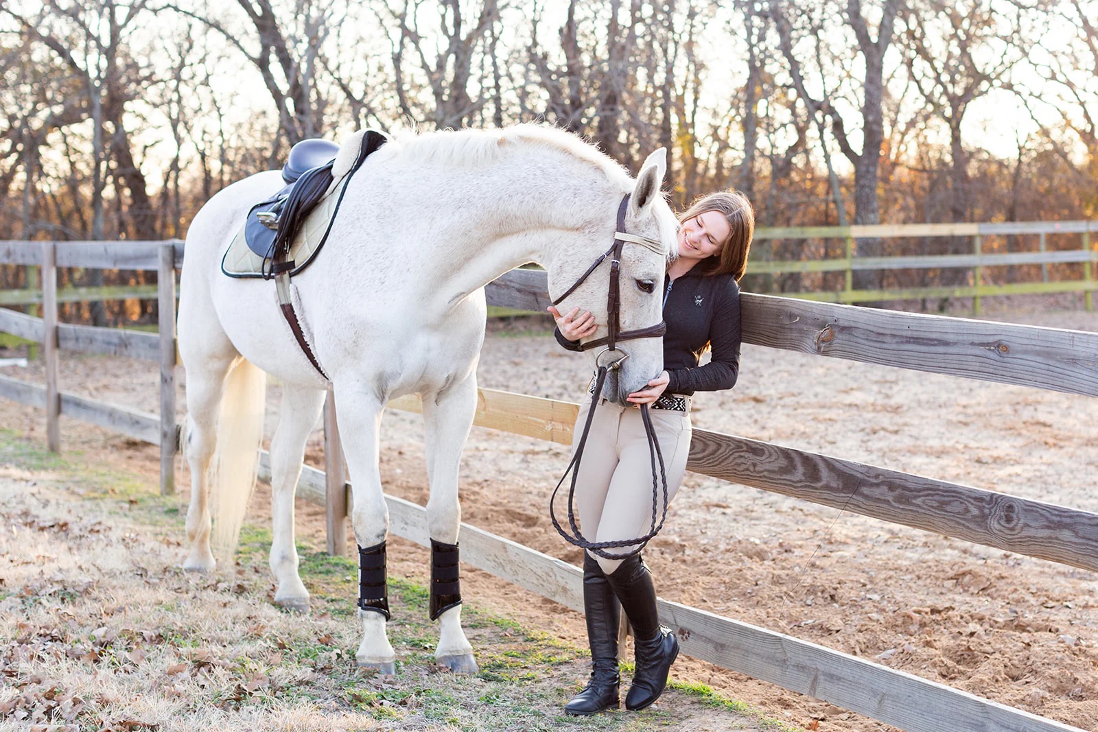 Haustier Alles Verkaufsgeschäft -Haustier Alles Verkaufsgeschäft 46987646